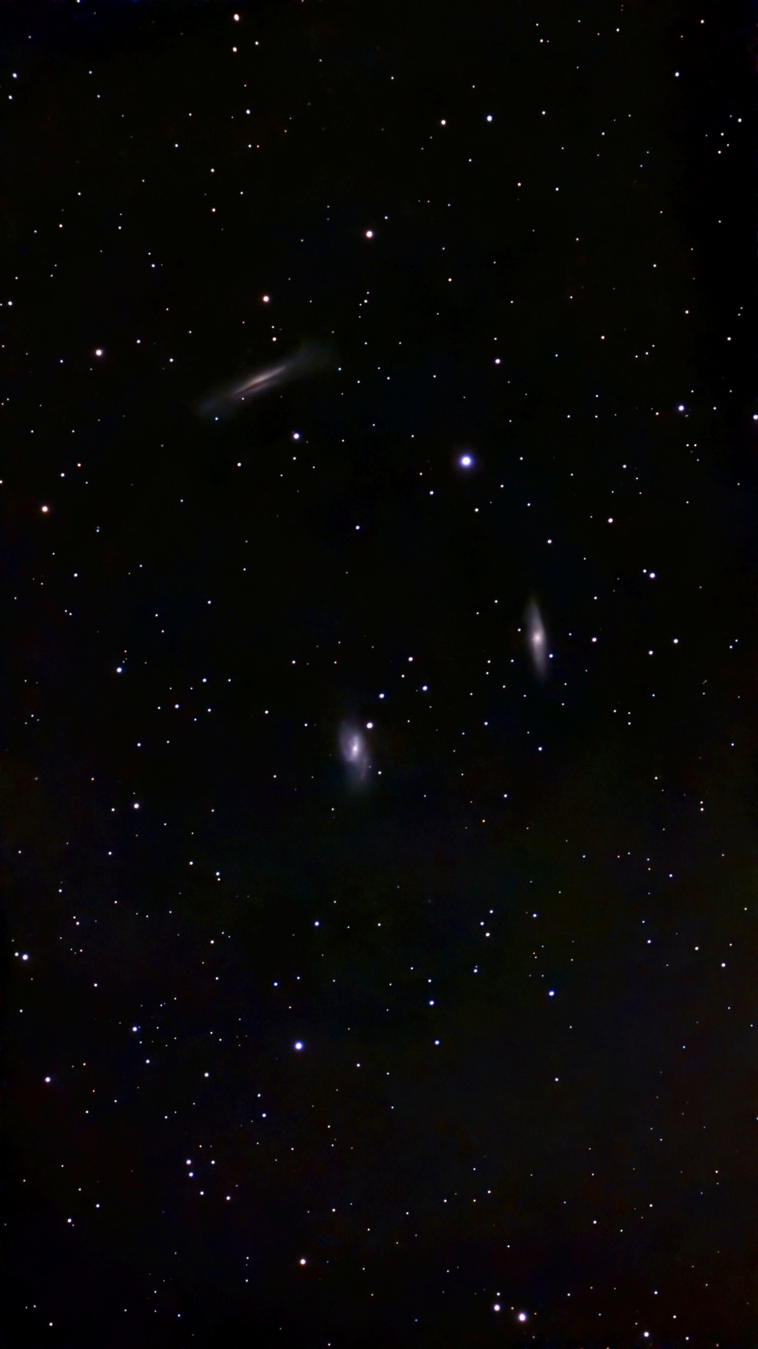 LeoTriplet