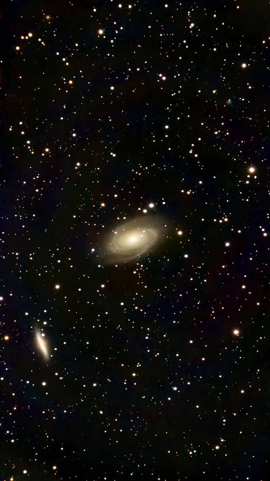 M81