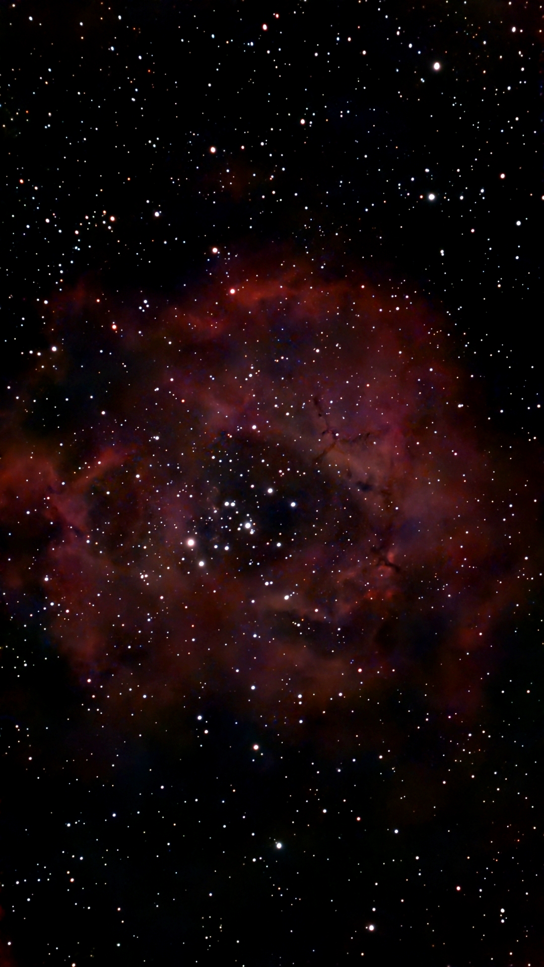 Rosette nebulae